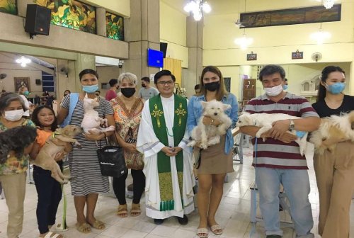 Filipino Catholics lobby for animal rights
