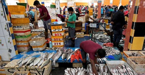 Sri Lankan Catholics counter fisher union’s ‘false propaganda'