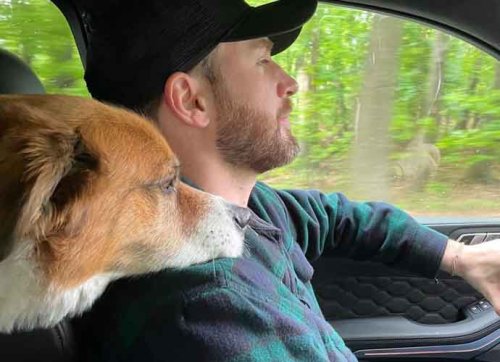Chris Evans Makes Case For Adoption With National Rescue Dog Day Post With Pup Dodger