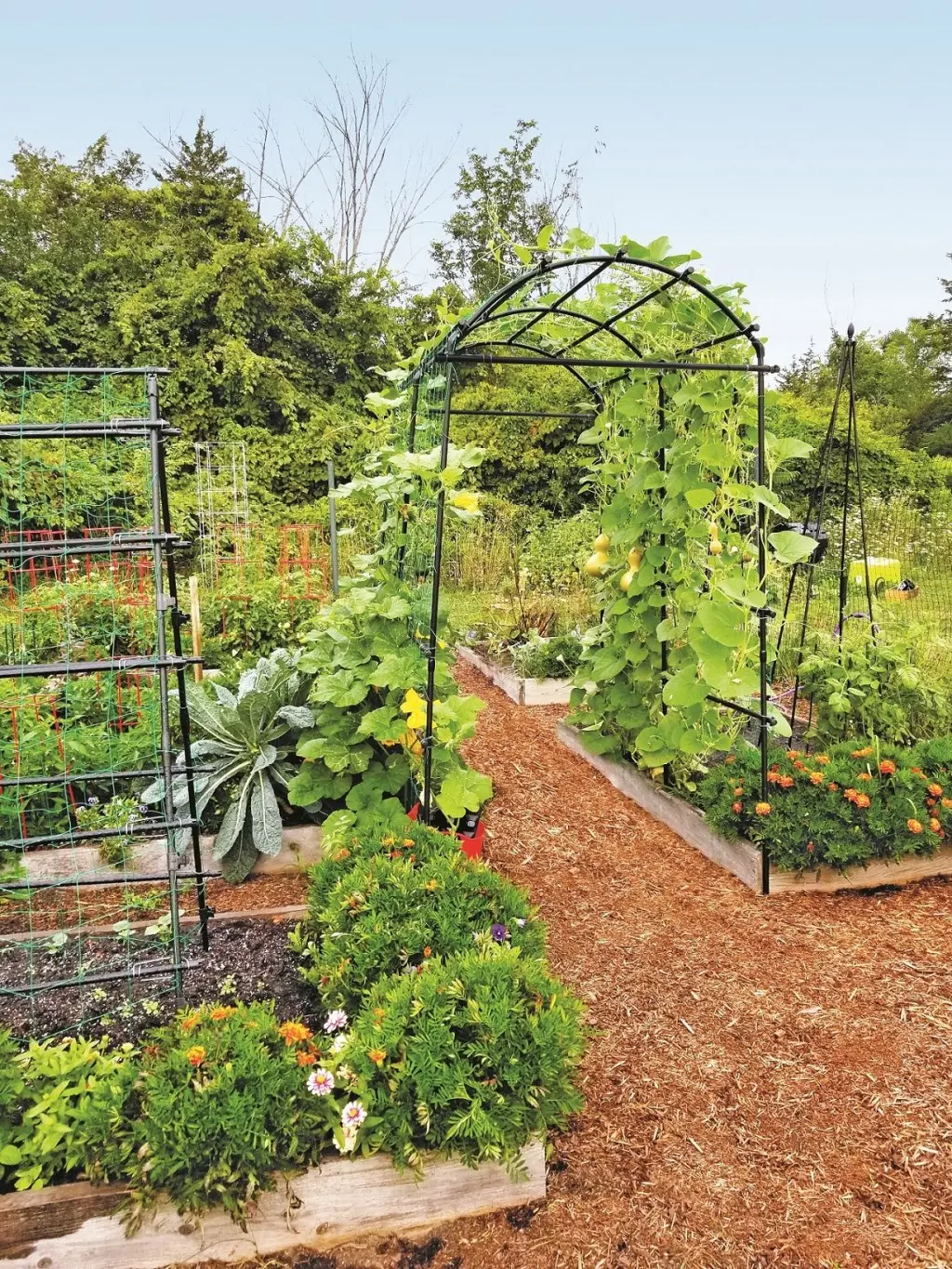 THIS IS WHY
WE
GARDEN - cover