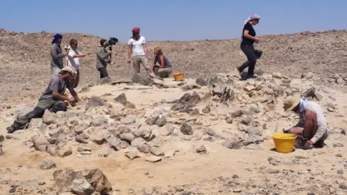 Stone Axes Unearthed in Oman Are More Than 300,000 Years Old
