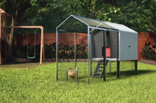 Coop Smart Backyard Chicken Coop