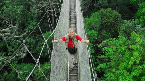 Book Review: A Scientist's Life in the Treetops