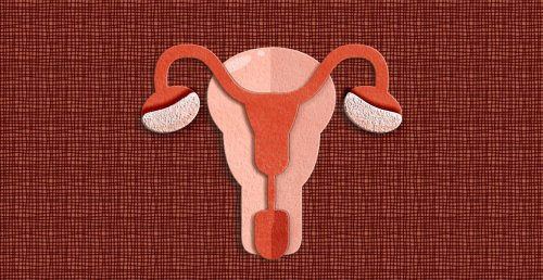 What Can Menstrual Blood Reveal about Health and Disease?