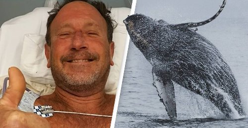 Man’s Account Of Being Swallowed By Humpback Whale Doubted By Doctors