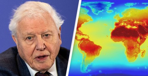 David Attenborough Warns Humans ‘On Verge Of Destabilising The Entire Planet’