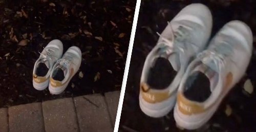 Shocking Video Shows What Happens When You Leave Your Shoes Outside In Florida
