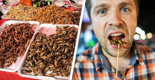 Humans Will Have To Eat Maggots And Other Insects In The Future Thanks To Climate Change