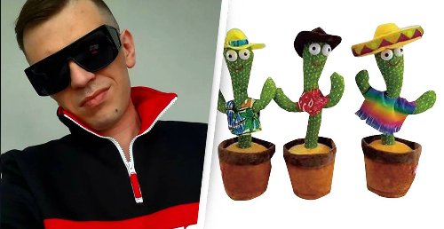 cactus toy polish song