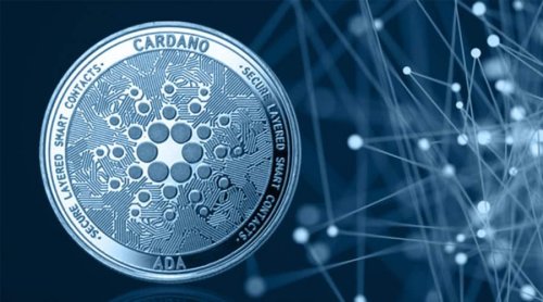 Should You Invest in Cardano?
