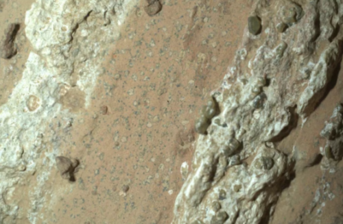 Vita su Marte? Una nuova Scoperta Potrebbe Riscrivere la Storia
