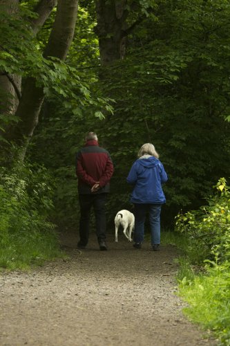 The 10 Best Vanguard Funds for a Successful Retirement