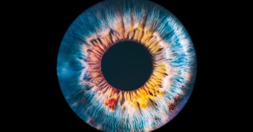 Better Vision, Better Ageing: Why Eye Health is Essential for Longevity