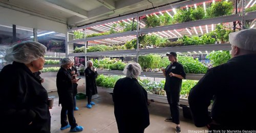 Photos: Indoor Hydroponic Farm Tour & Tasting