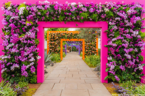 Last Chance: The Annual Orchid Show Soars at the New York Botanical Garden