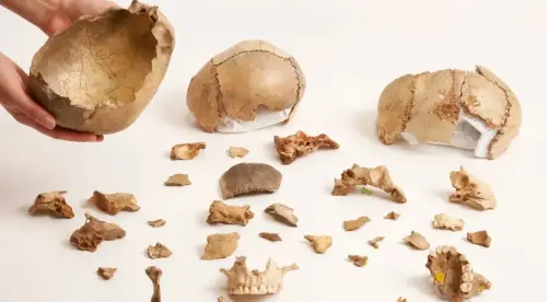 Há 15 mil anos, comer carne humana era prática comum em funerais na Europa
