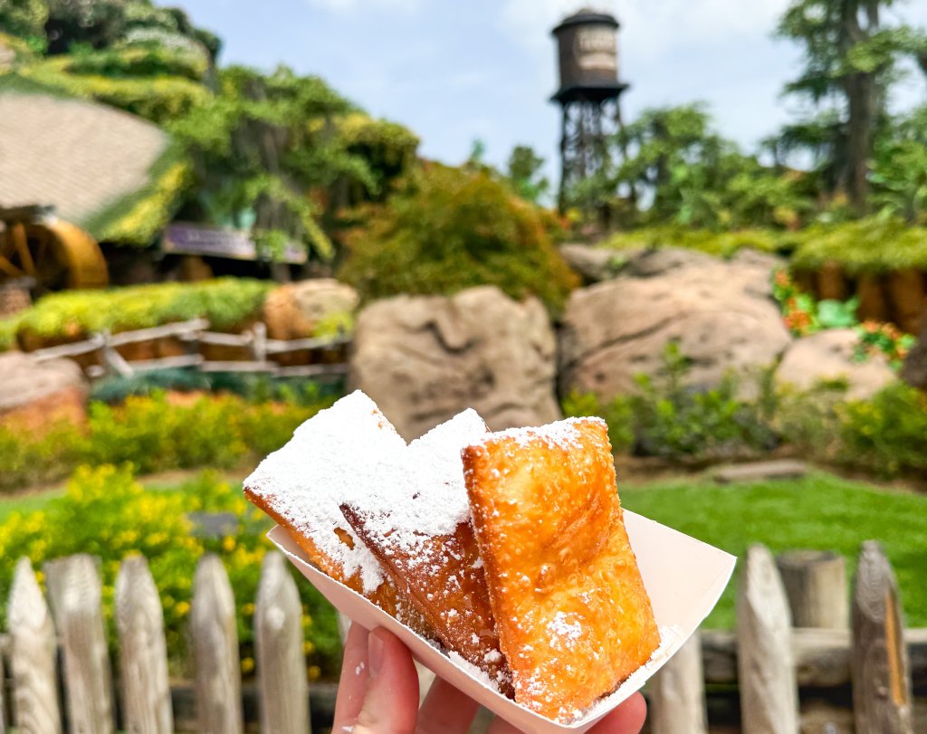 UPGRADED DISNEY VACATION