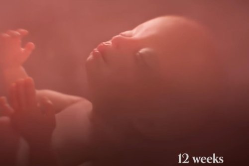 States moving to require schools to show inaccurate fetus video