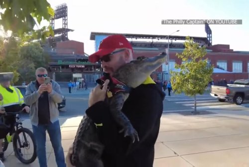 Emotional support alligator barred from attending Phillies game