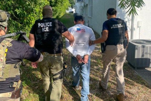 ICE, Florida arrest nearly 800 in immigration crackdown
