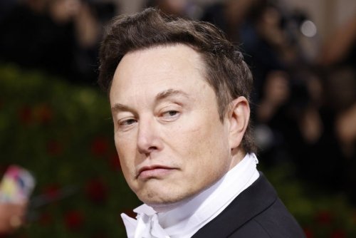 Elon Musk jokes about buying Manchester United, prompts Twitter swarm