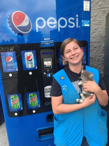 Kitten rescued from inside Pepsi vending machine at Walmart store