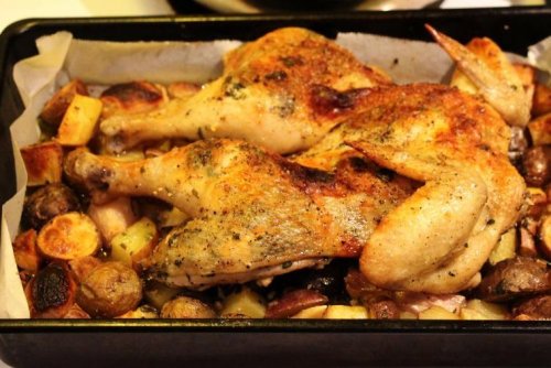 Chicken bests plant-based meat alternative for protein intake, study suggests