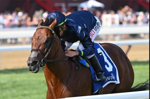 haskell stakes haskell stakes