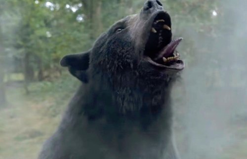Please Enjoy The Trailer For ‘Cocaine Bear,’ A Movie About A Cocaine-Eating Bear