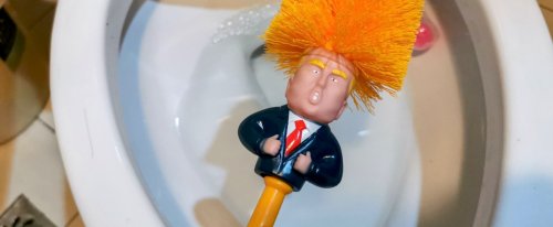 Trump Claims He Didn’t Flush Documents Down The White House Toilet, But New Photos Appear To Show Otherwise