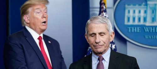 Dr. Fauci Is Opening Up Even More About How Utterly Bonkers Things Were Behind The Scenes With Trump As The Pandemic Escalated