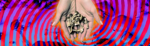 Where Are Magic Mushrooms Legal, What’s The Research, & What Resources Are Out There