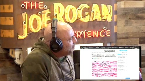 A Joe Rogan Guest (Kind Of Shockingly) Called Him Out On One Of His Latest Bullsh*t Claims About The COVID Vaccines