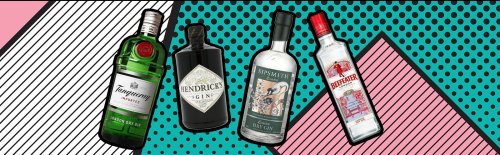 We Blind Taste Tested Gins Mixed Into Gin & Tonics To Find A Champion