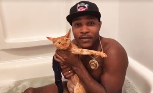 This Guy Rapping About Giving His Cat A Bath Is The Internet’s Newest Sensation