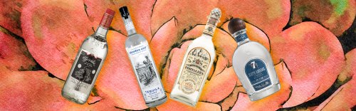 Bartenders Reveal The Single Best Sips Of Tequila They’ve Ever Had