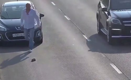 This Guy Took Everyday Heroism To The Next Level By Rescuing A Kitten From A Busy Highway