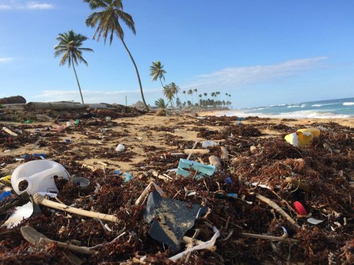 Understanding Ocean Pollution: 6 Useful Facts to Know