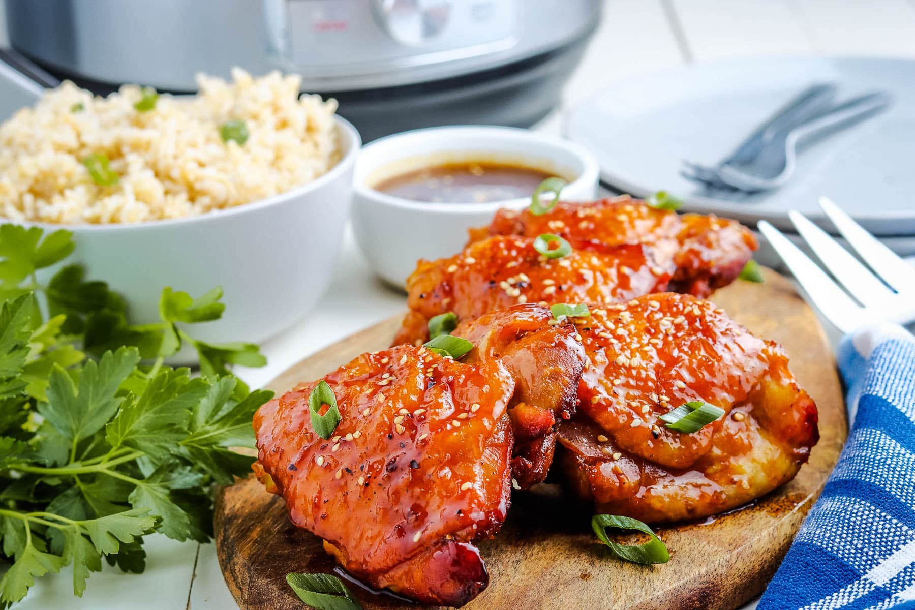 Instant Pot Honey Garlic Chicken Recipe
