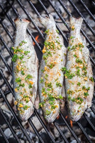 Seafood Simplified: The Essential Guide to Grilling Fish Like a Pro