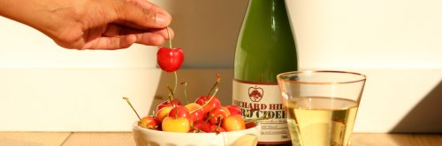 A Craft Cider-Making Class to Kick Off Your Weekend