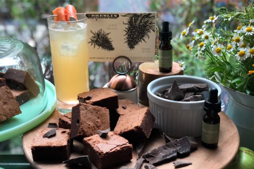 CBD Brownies and Cocktails at the Ace Hotel: Happening