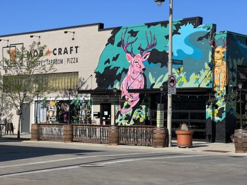 New Owners Plan to Reopen MobCraft