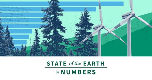 State of the Earth  in Numbers  - cover