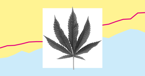 How do marijuana laws differ between states?