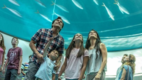 These Florida family vacation ideas prove there's something for everyone