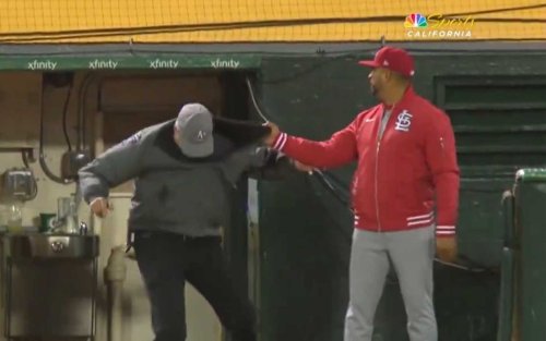 Cardinals manager Oliver Marmol grabbed an A's security guard during a bizarre challenge moment