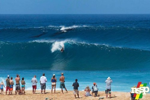 Whales steal spotlight (again) at legendary Hawaiian surf spot