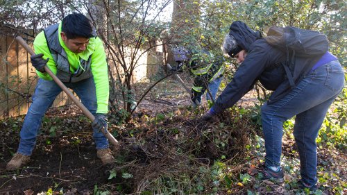 4 ways to control weeds in your garden this spring before they get out of control