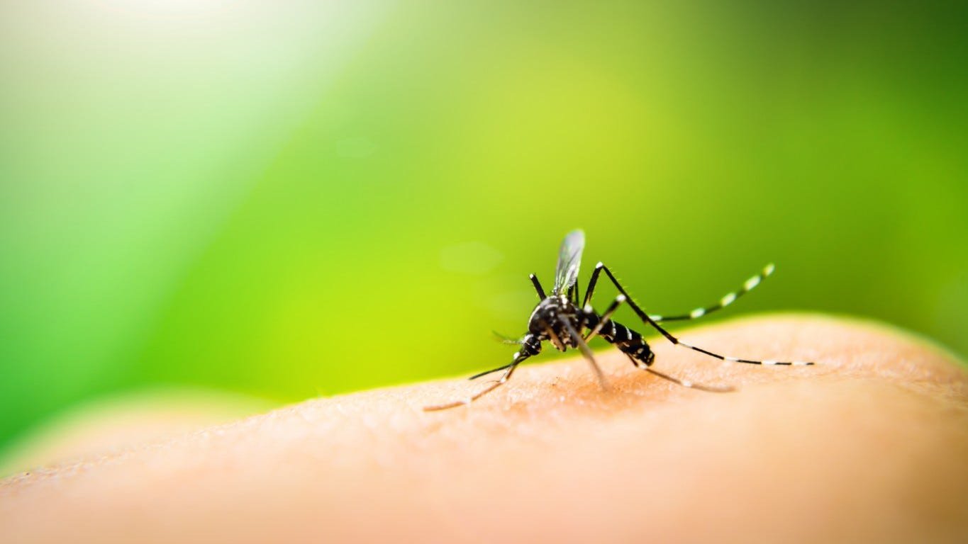 West Nile virus cases are rising, and experts say 'people have to protect themselves'